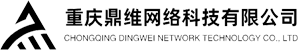 重庆鼎维网络科技有限公司